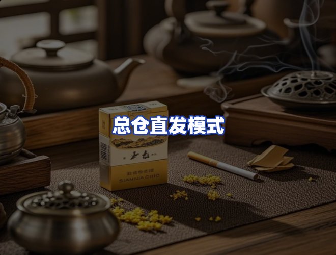 专业团队
